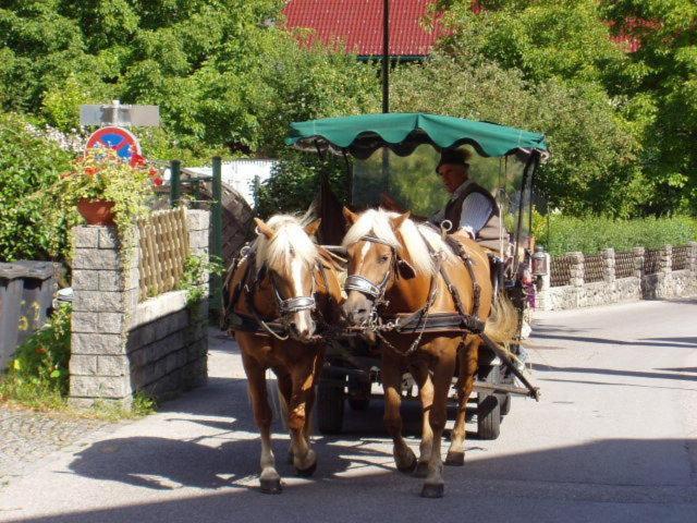 Schafberg Apartments Sankt Wolfgang im Salzkammergut ภายนอก รูปภาพ